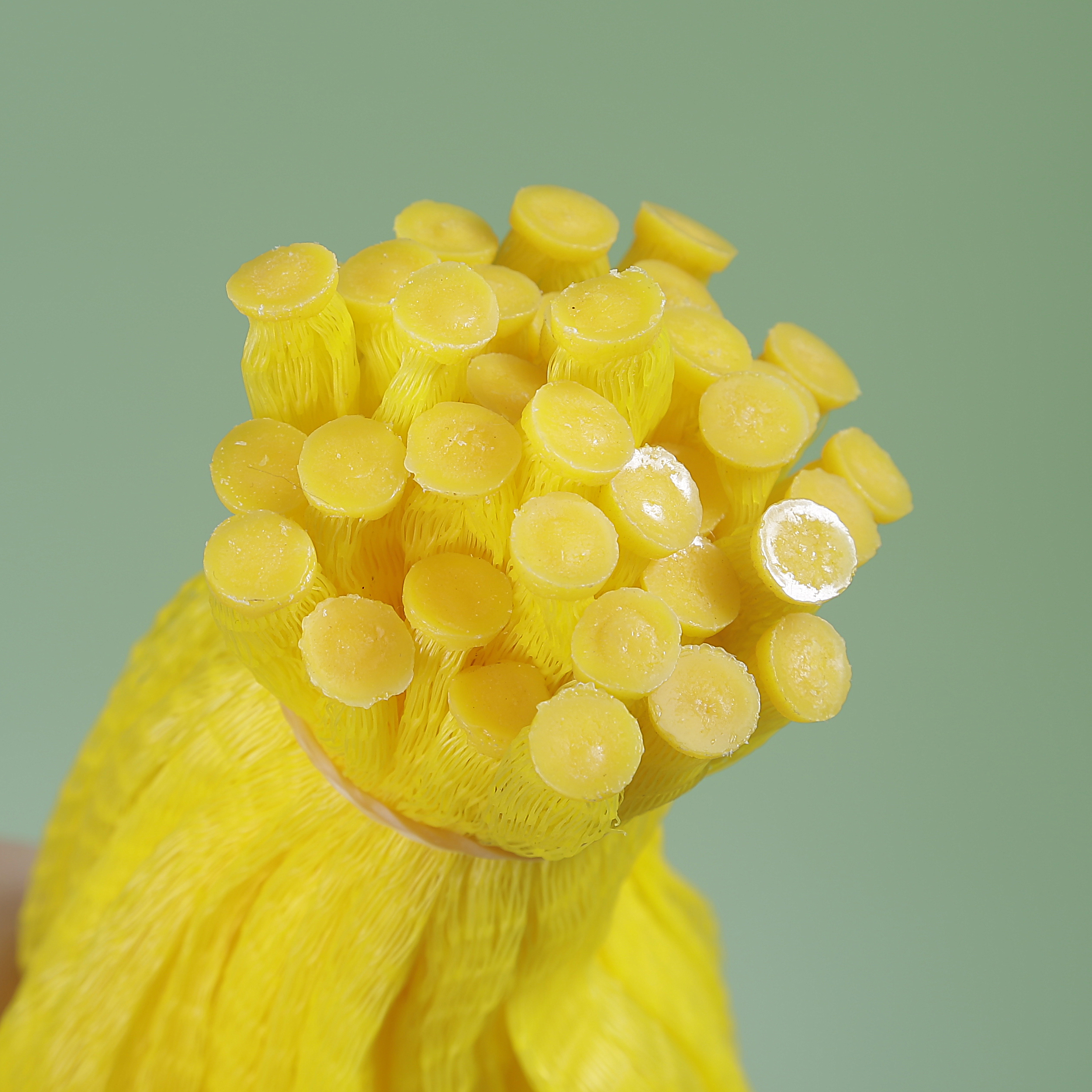 Extrudierte Mesh-Kunststoff-Netzbeutel in Rollenverpackung, Knoblauch, Zwiebeln, Obst, Eier, röhrenförmige Mesh-Ärmelbeutel